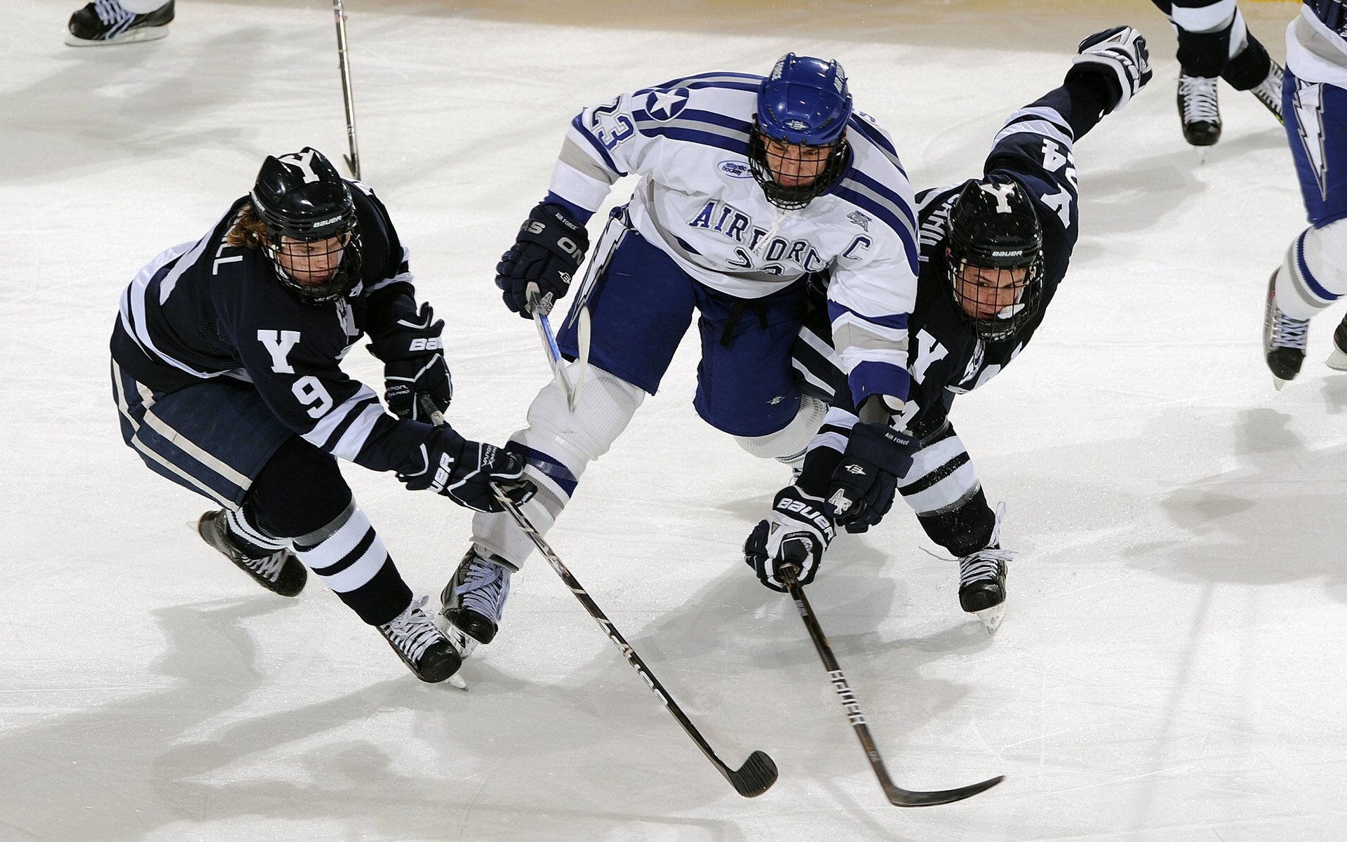 霍勒迪，攻防转换的隐形引擎，驱动公牛撕裂吉林铁壁